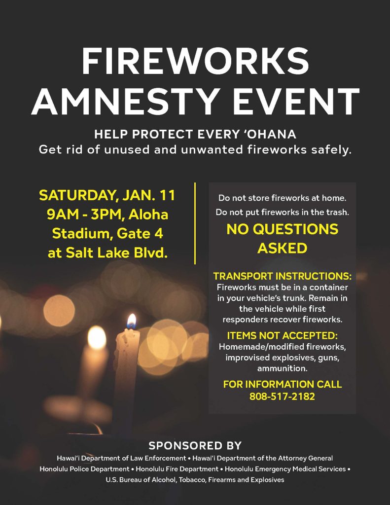 firework amnesty event flyer